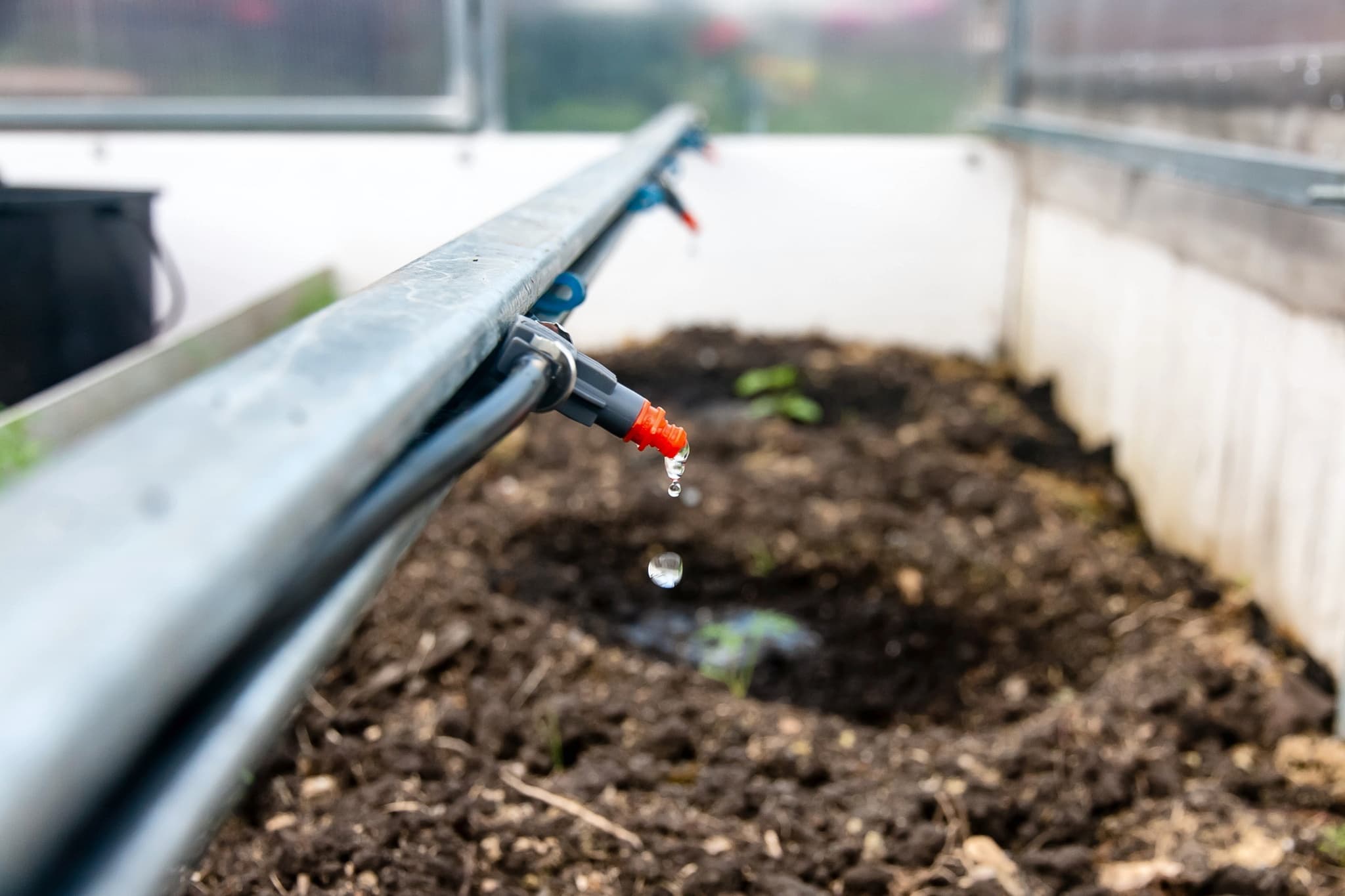 Капельный полив