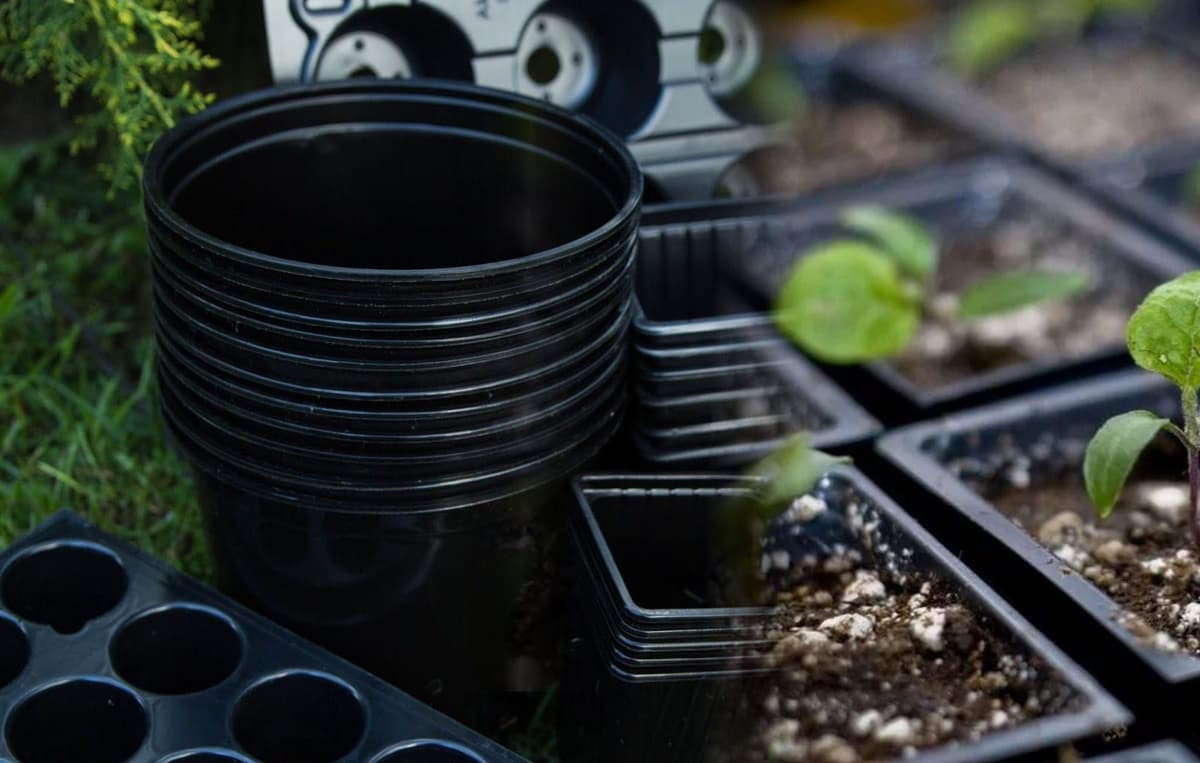 Кассета и горшки для рассады