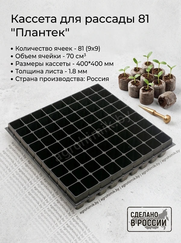 касета 81 РФ