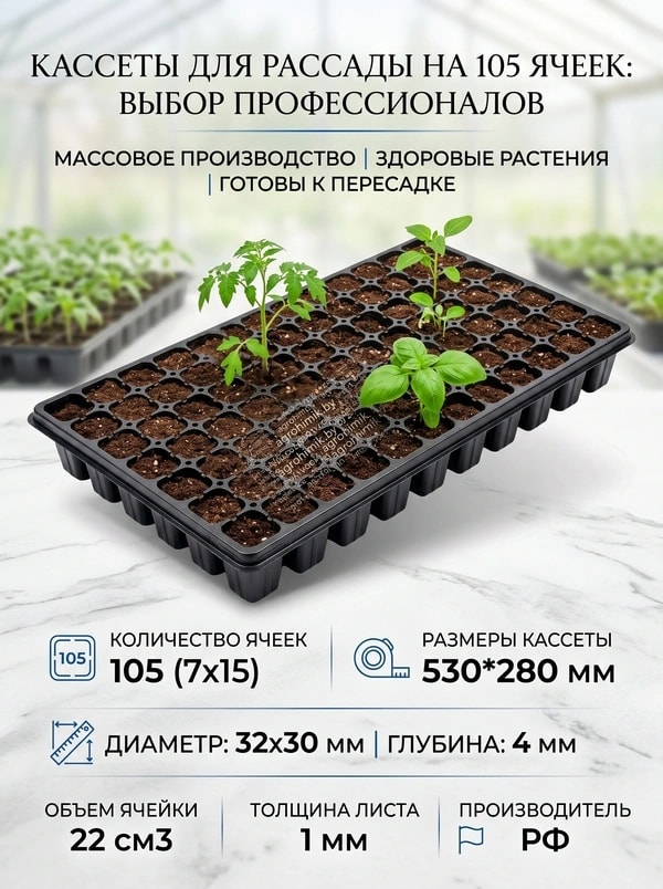 касеты 105