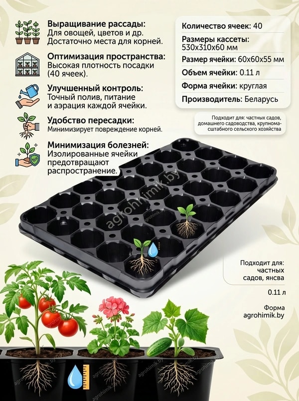 кассета 40 РБ