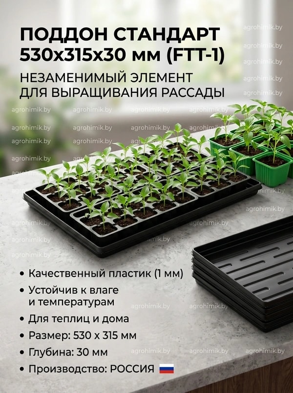 поддон РФ