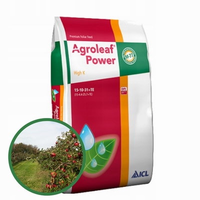 Агролиф 15-10-31 Agroleaf Power High K